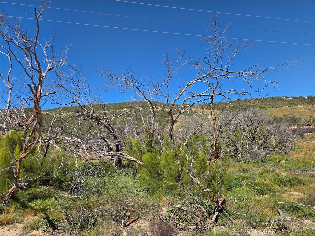 0 Howard Property Photo 8