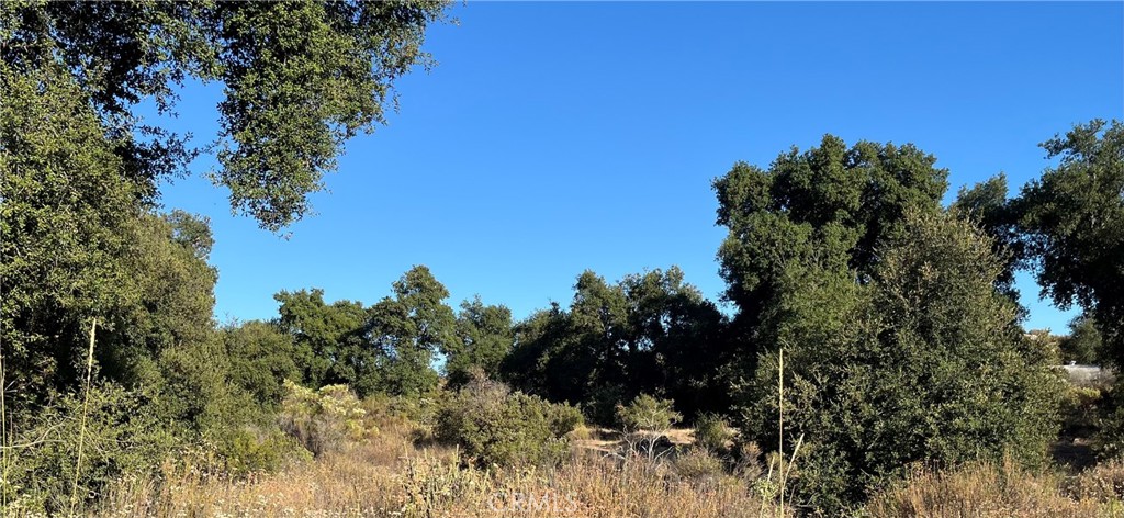 35010 Willow Creek Rd. Property Photo 1