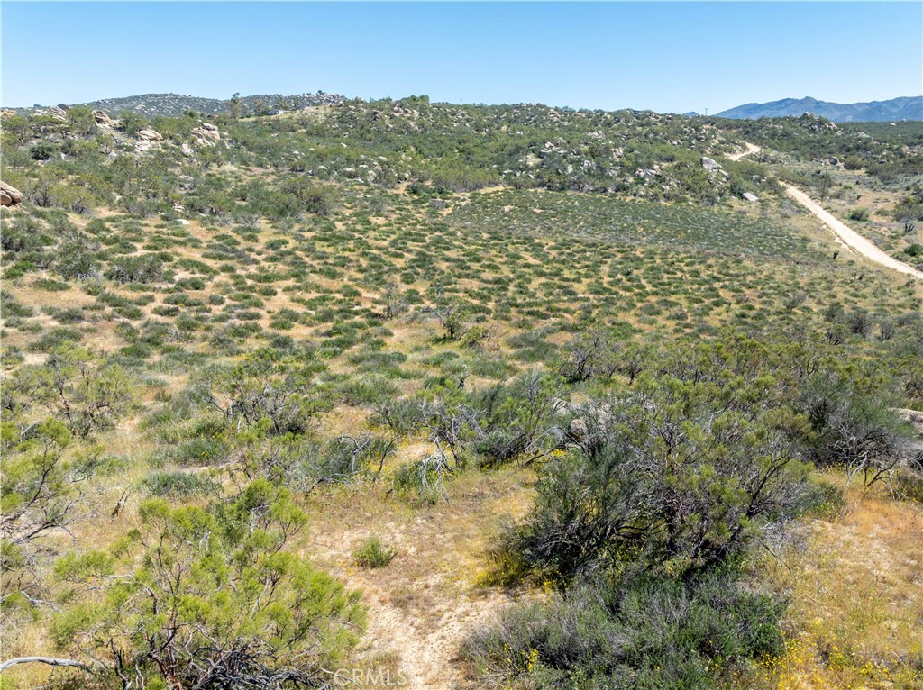 24 Ruben Drive Property Photo 2