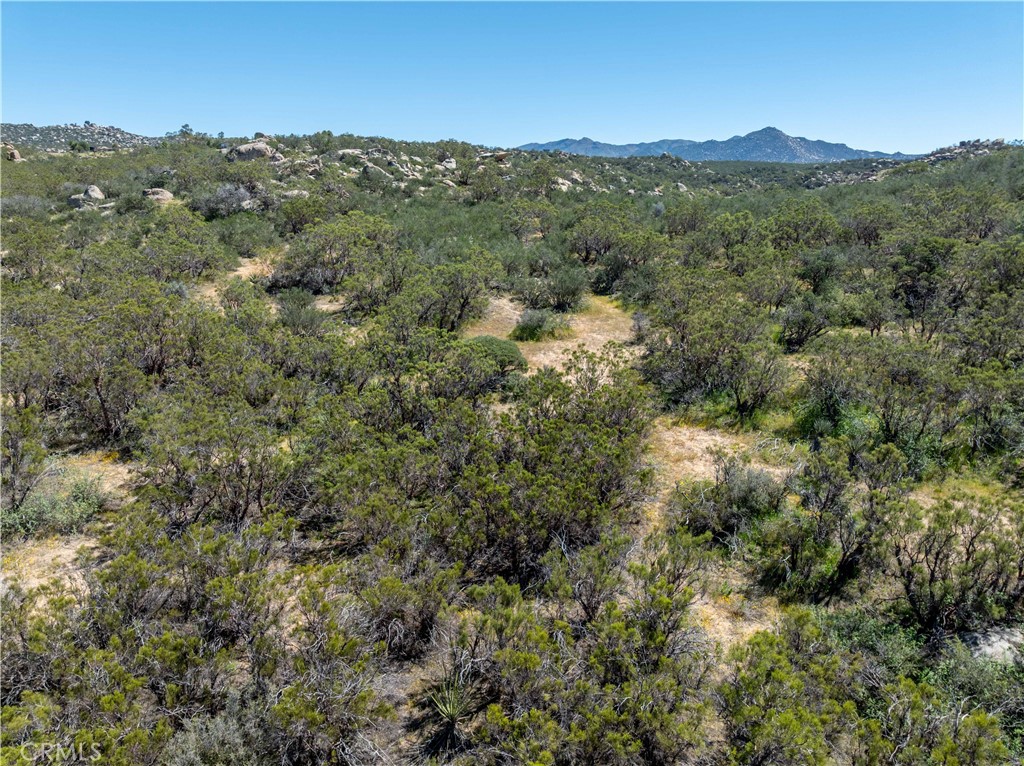 24 Ruben Drive Property Photo 15