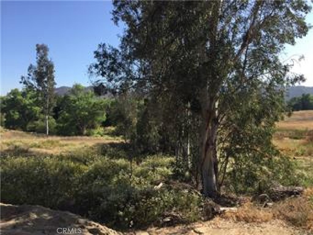 0 Robin Scott Parcel B Property Photo 4