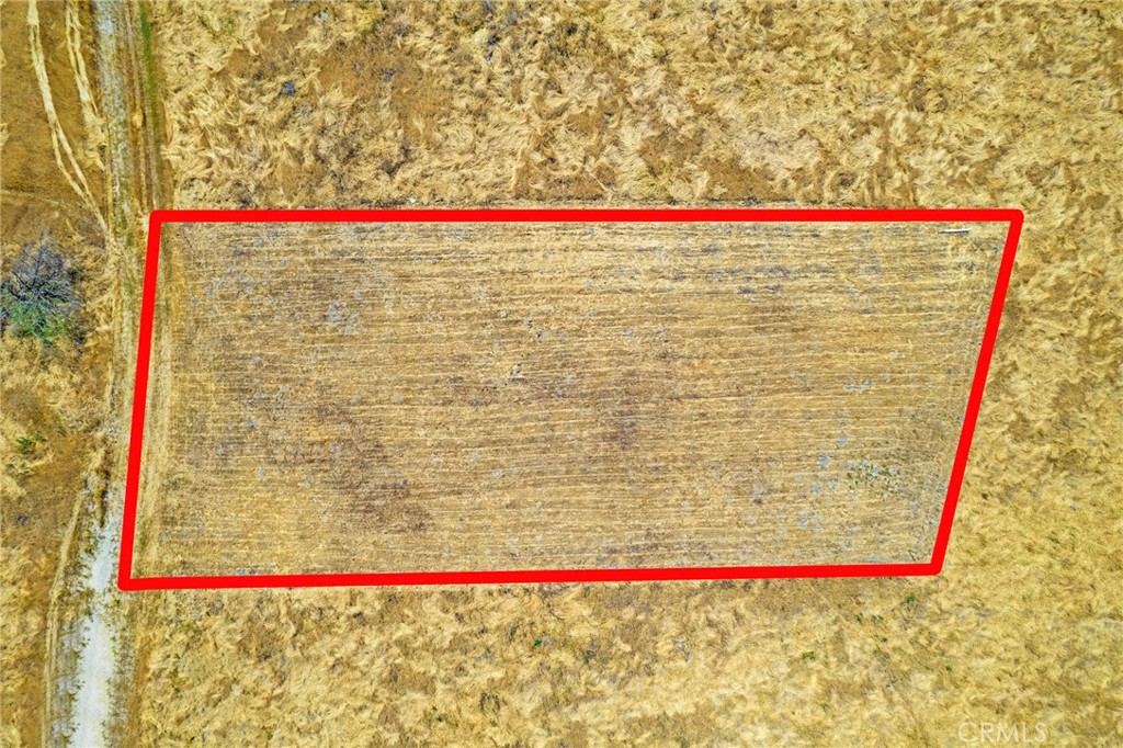 0 Morton Property Photo 15