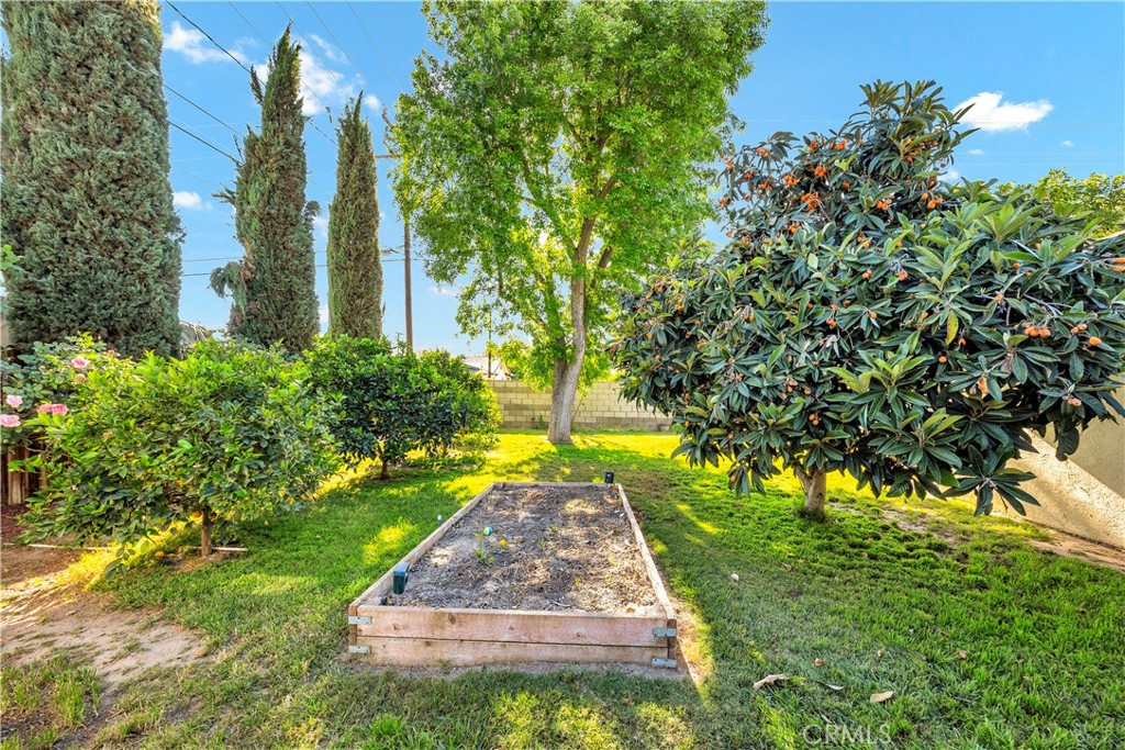 41257 Plumrose Property Photo 31