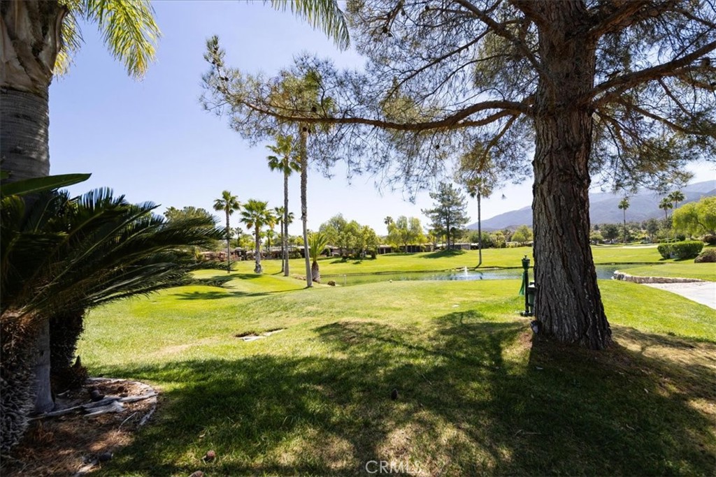 45525 Highway 79 Site 414 Property Photo 14