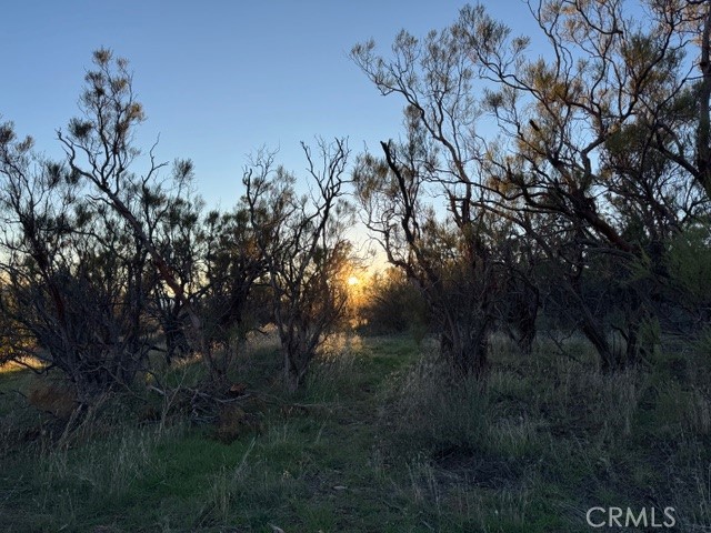 54740 Cave Rock Road Property Photo 17