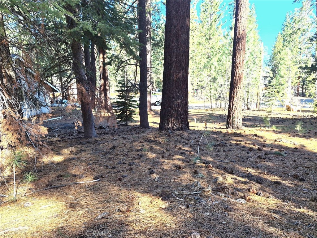 1662 Maiden Hair Ct Property Photo 2