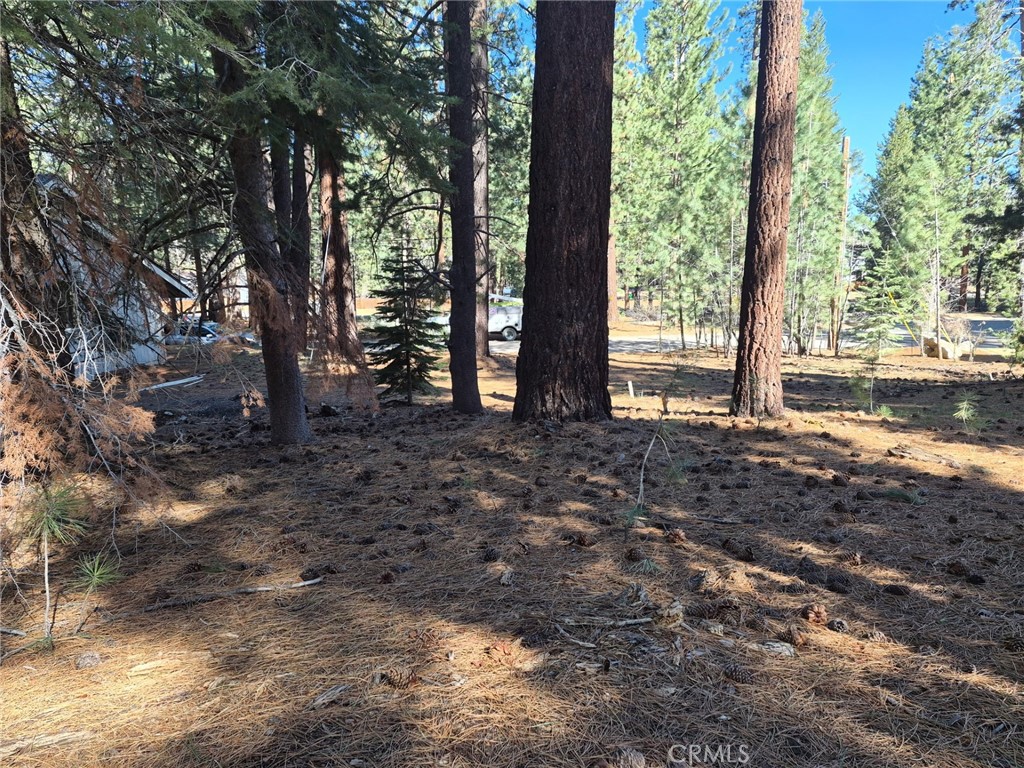 1662 Maiden Hair Ct Property Photo 5