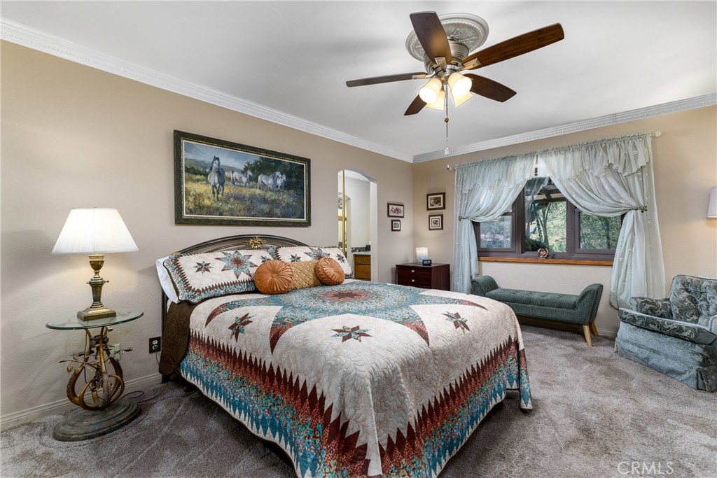 32360 Navajo Springs Property Photo 40