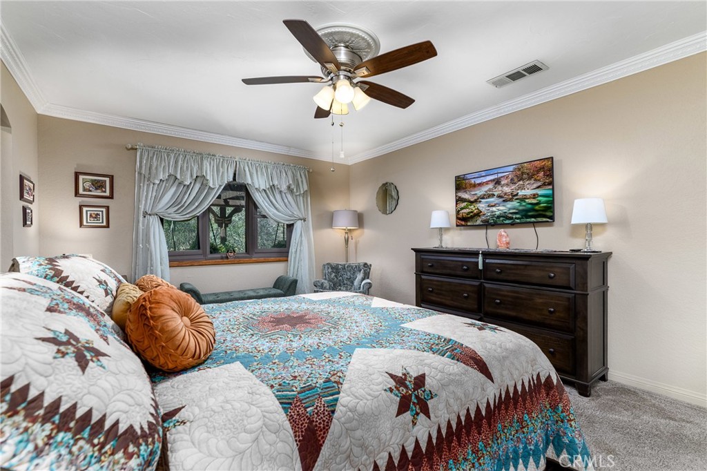 32360 Navajo Springs Property Photo 41