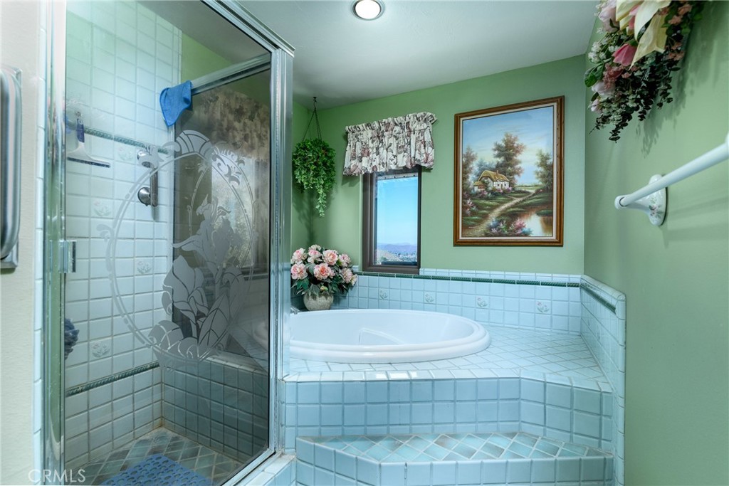 32360 Navajo Springs Property Photo 62