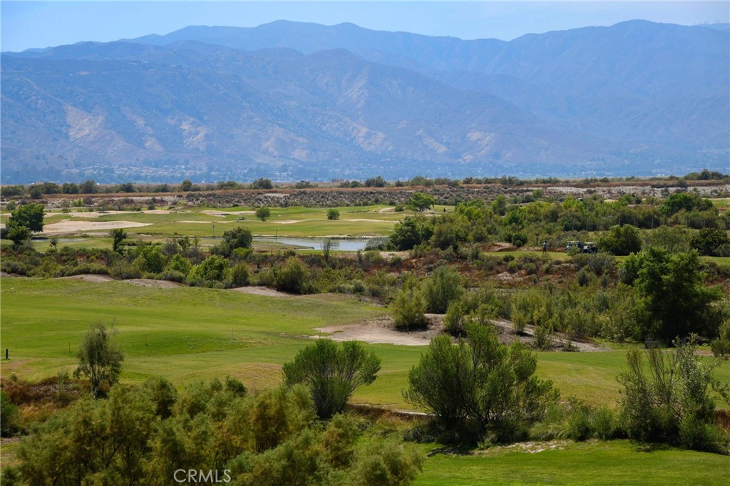 29230 Braemar Property Photo 42