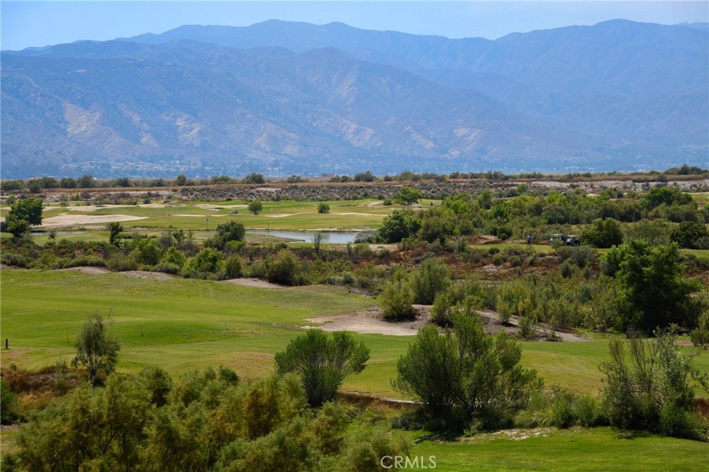 29230 Braemar Property Photo 43
