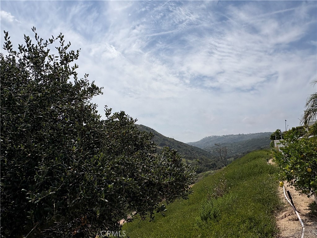 40 Silkwood Property Photo 35
