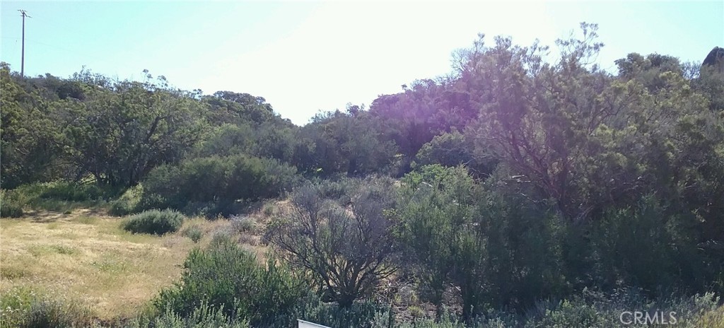 0 Lake Canyon Property Photo 1