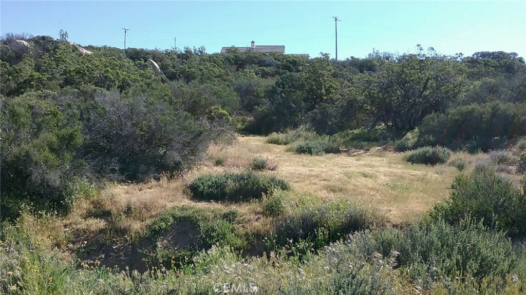0 Lake Canyon Property Photo 1