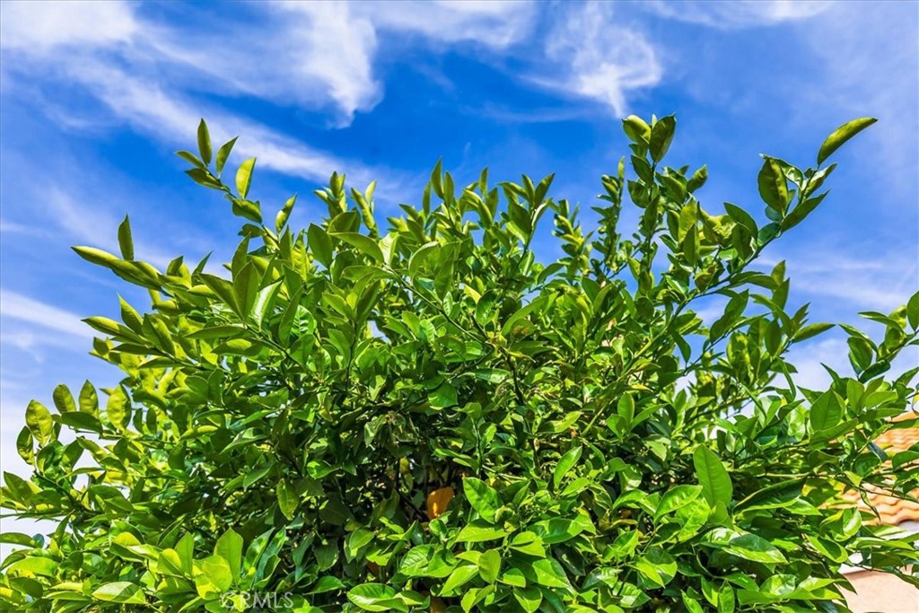 43115 Corte Landeros Property Photo 28