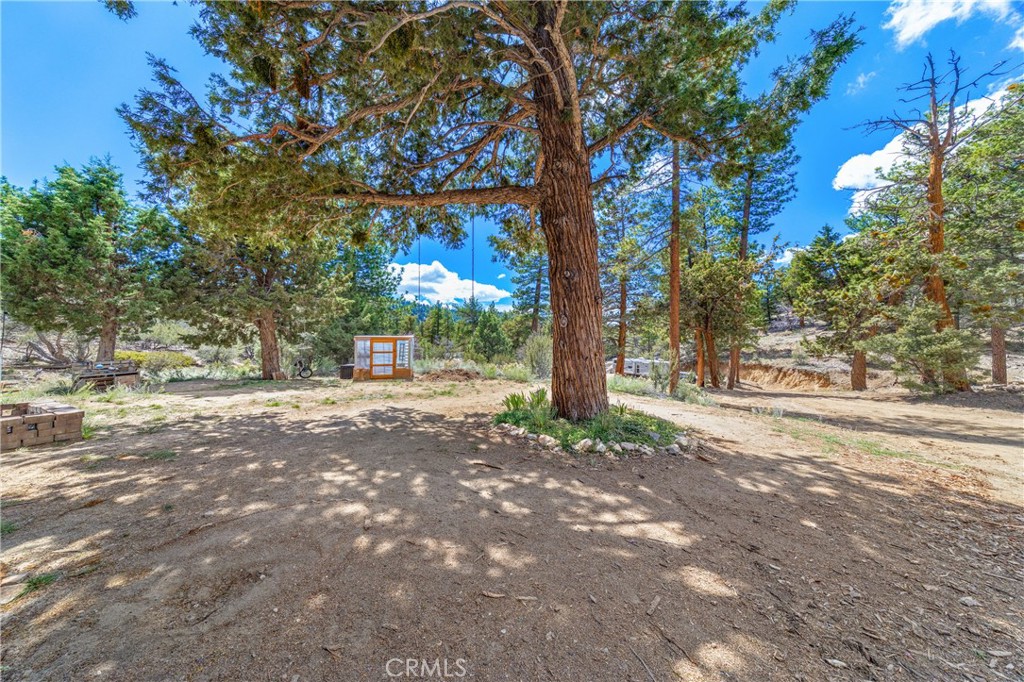 4295 Noodle Property Photo 9