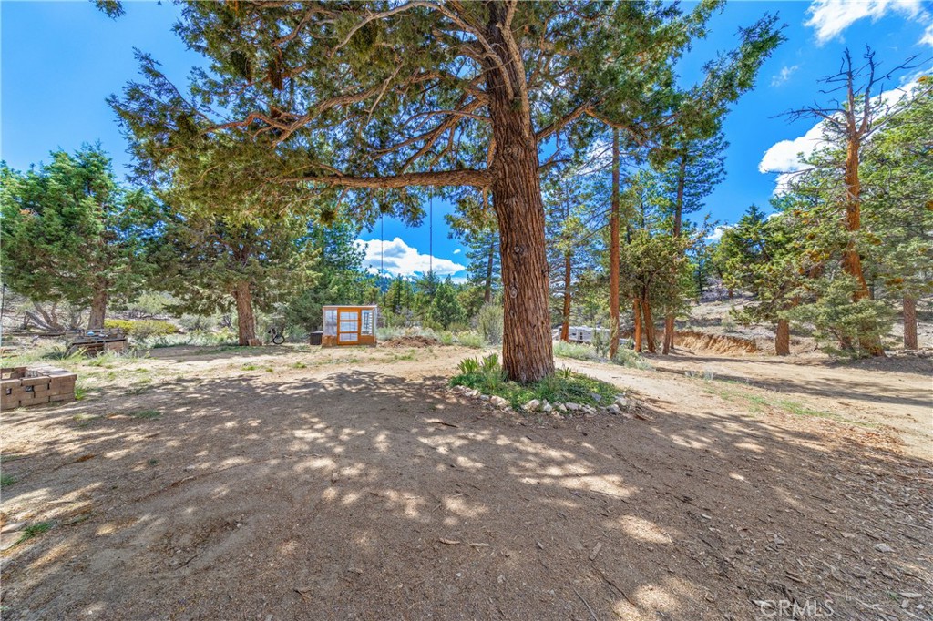 4295 Noodle Property Photo 9