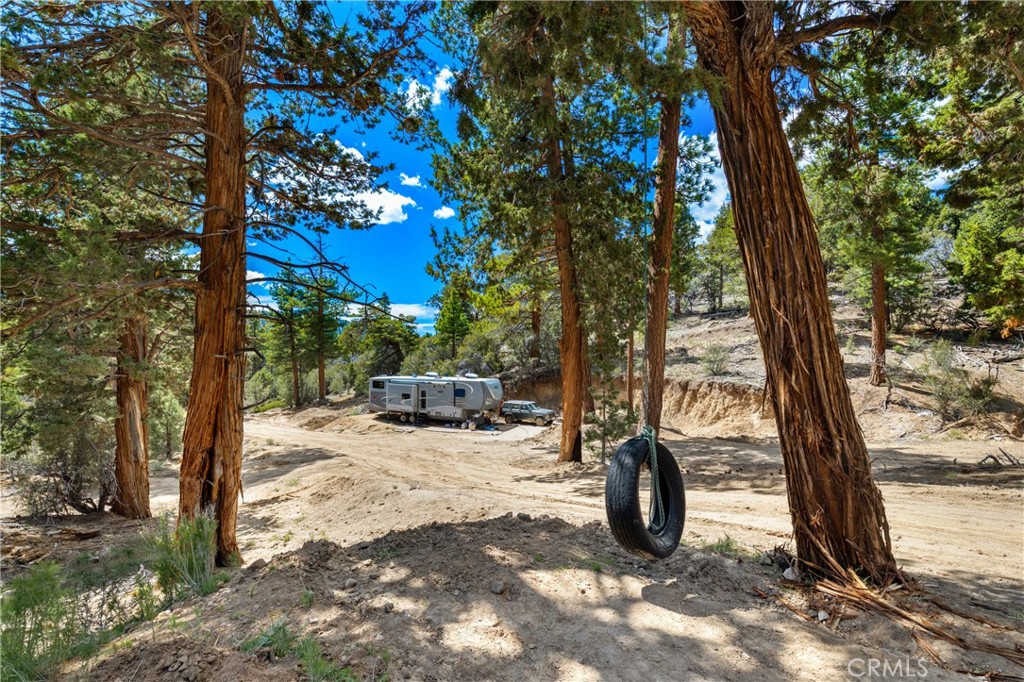 4295 Noodle Property Photo 11
