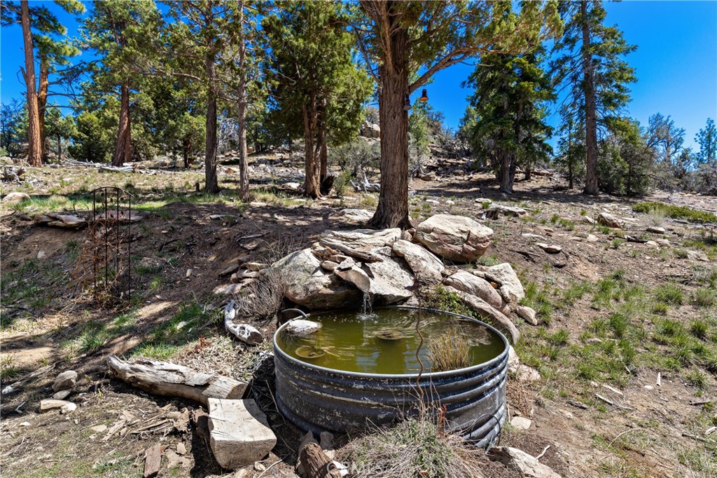 4295 Noodle Property Photo 15