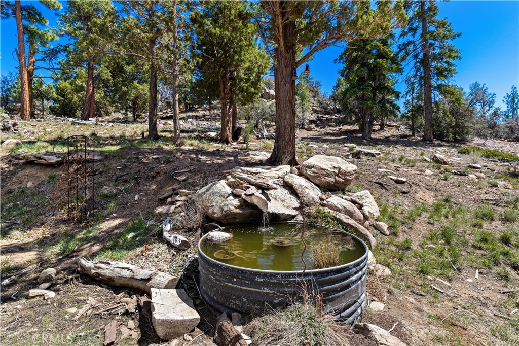4295 Noodle Property Photo 15