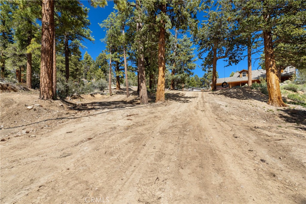 4295 Noodle Property Photo 40
