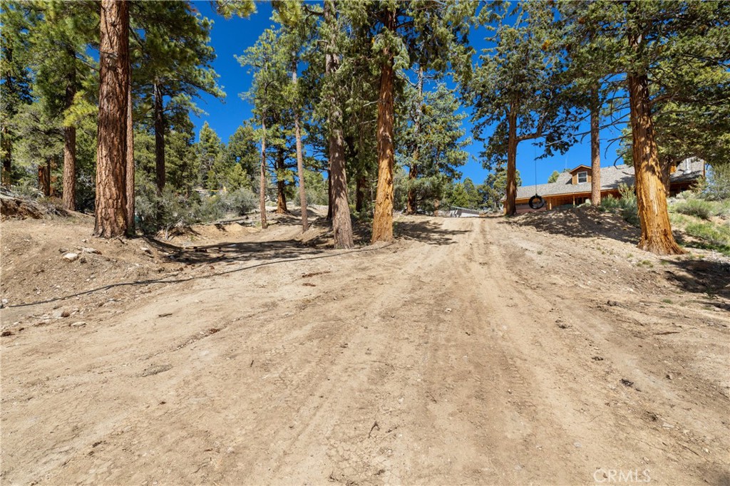 4295 Noodle Property Photo 40