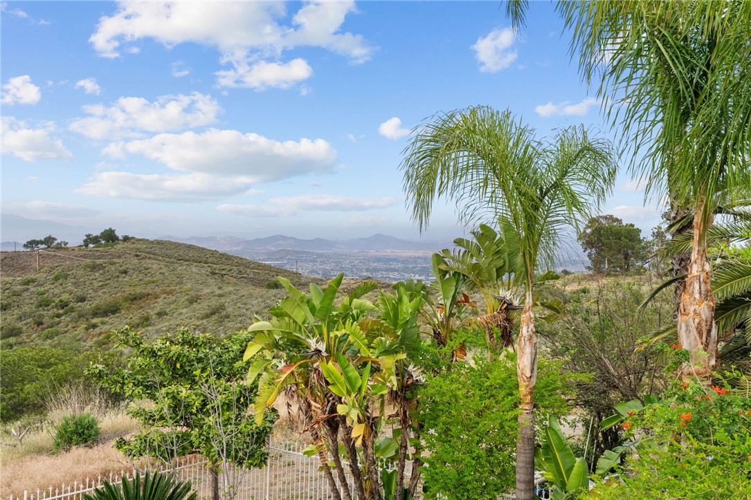 43110 Palamino Circle Property Photo 49