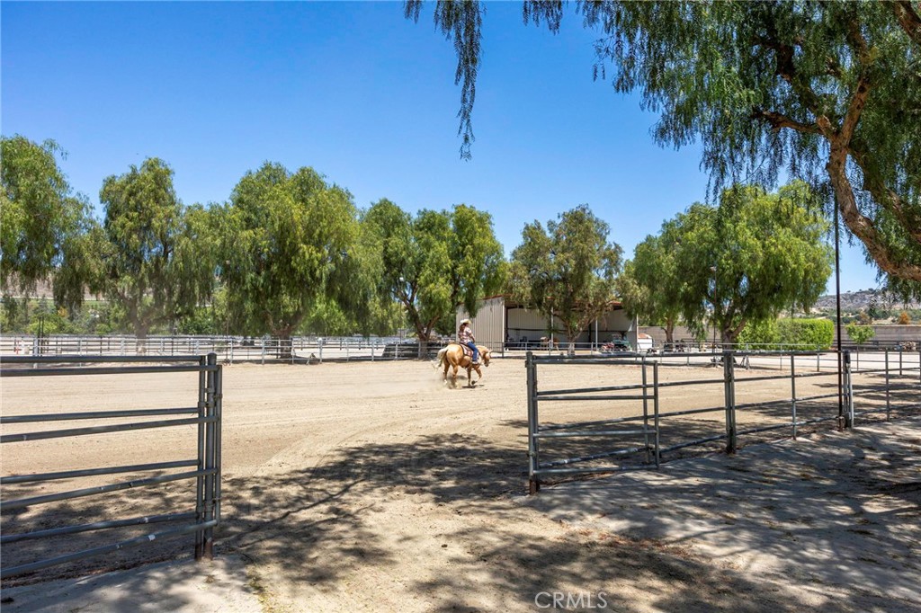 37055 De Portola Rd Property Photo 9