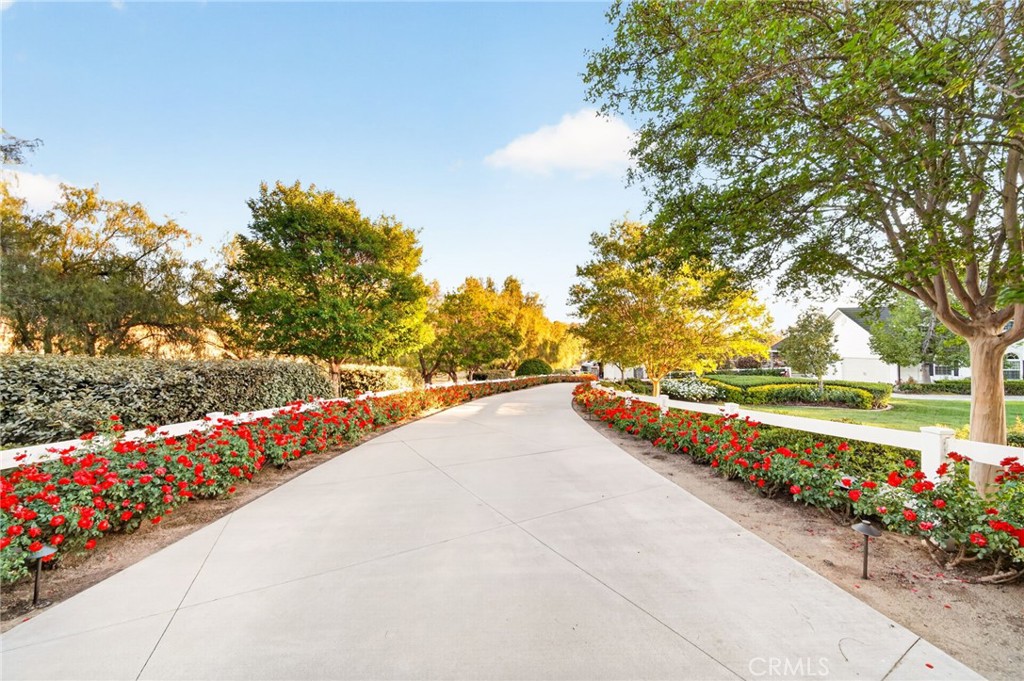 41515 Via Del Monte Property Photo 4
