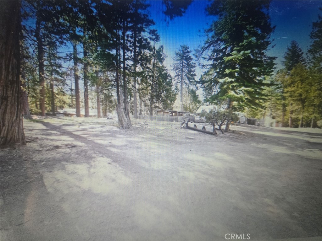 0 Pine Ridge Road Property Photo 1