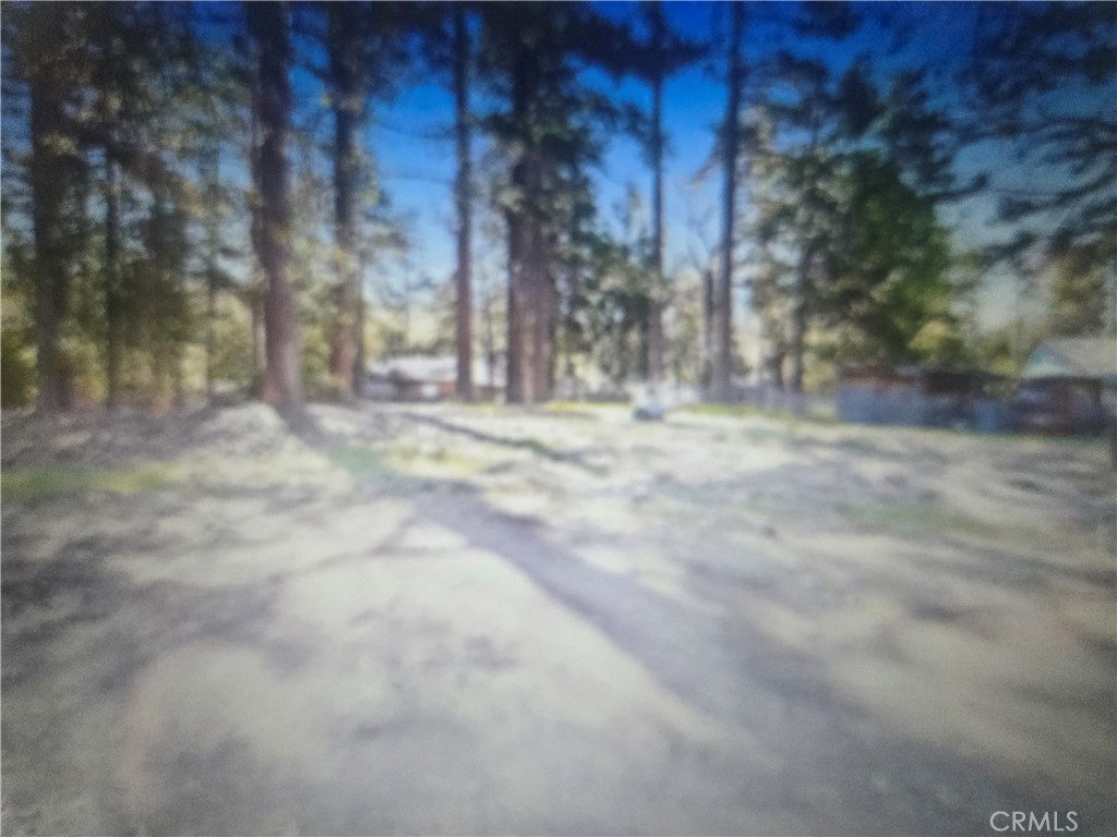 0 Pine Ridge Road Property Photo 2