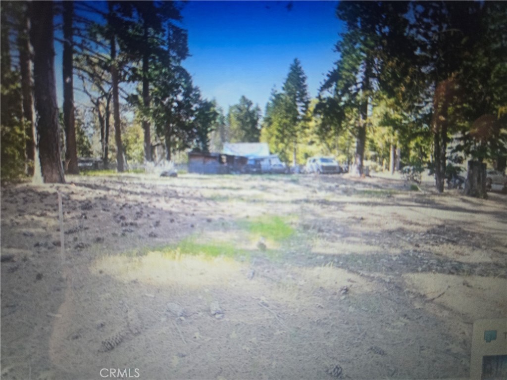 0 Pine Ridge Road Property Photo 3