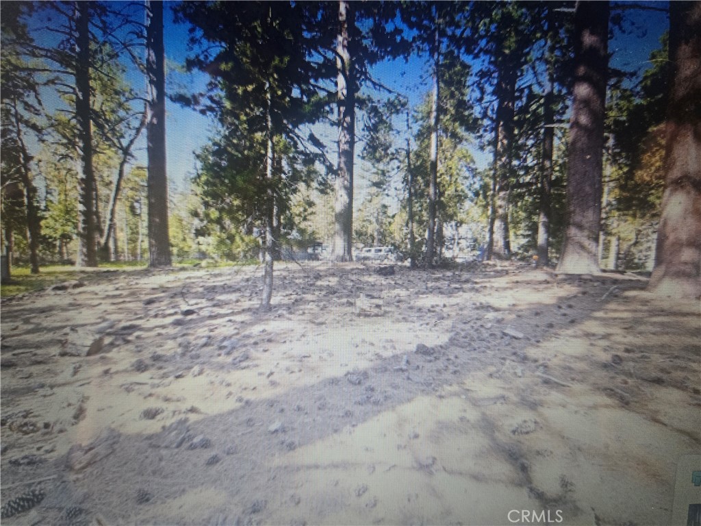 0 Pine Ridge Road Property Photo 4