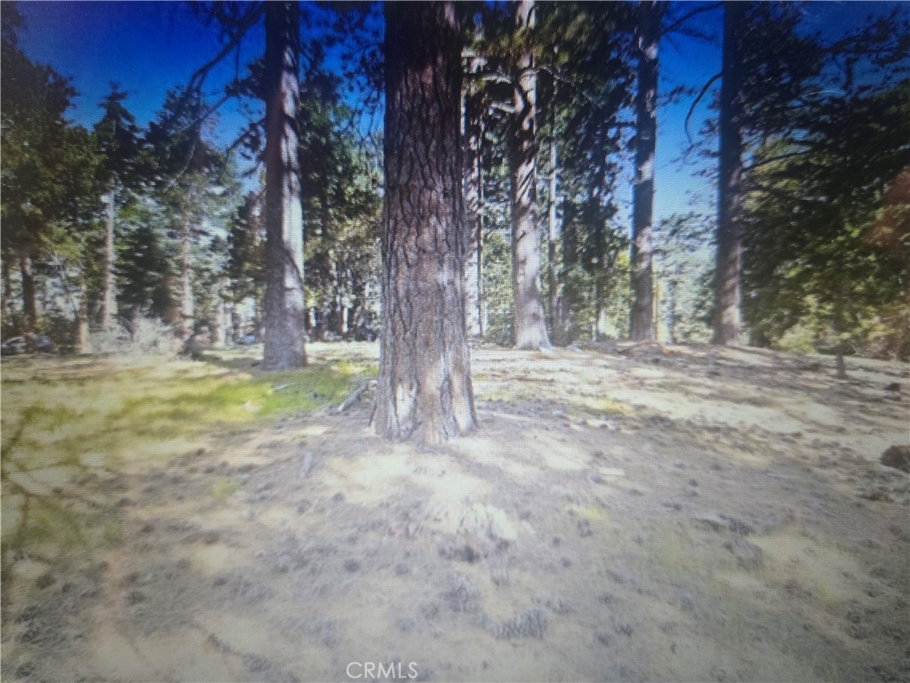 0 Pine Ridge Road Property Photo 5
