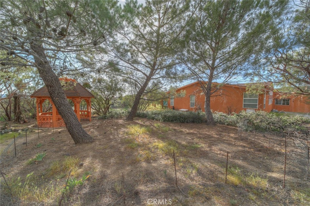 37440 Old Forest Property Photo 10