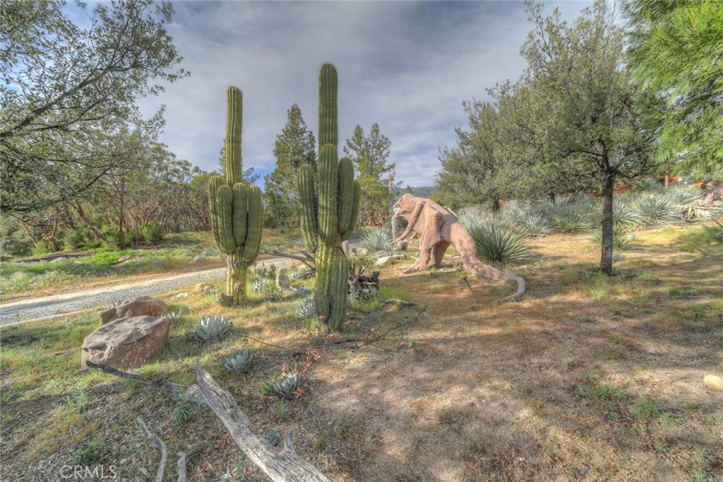 37440 Old Forest Property Photo 62