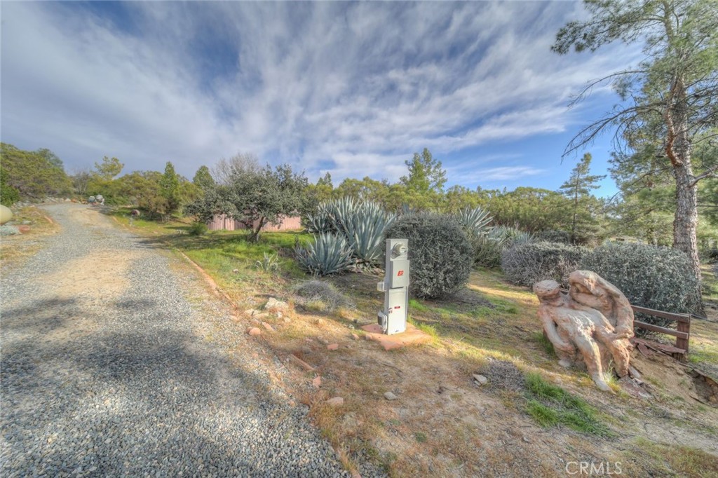 37440 Old Forest Property Photo 63