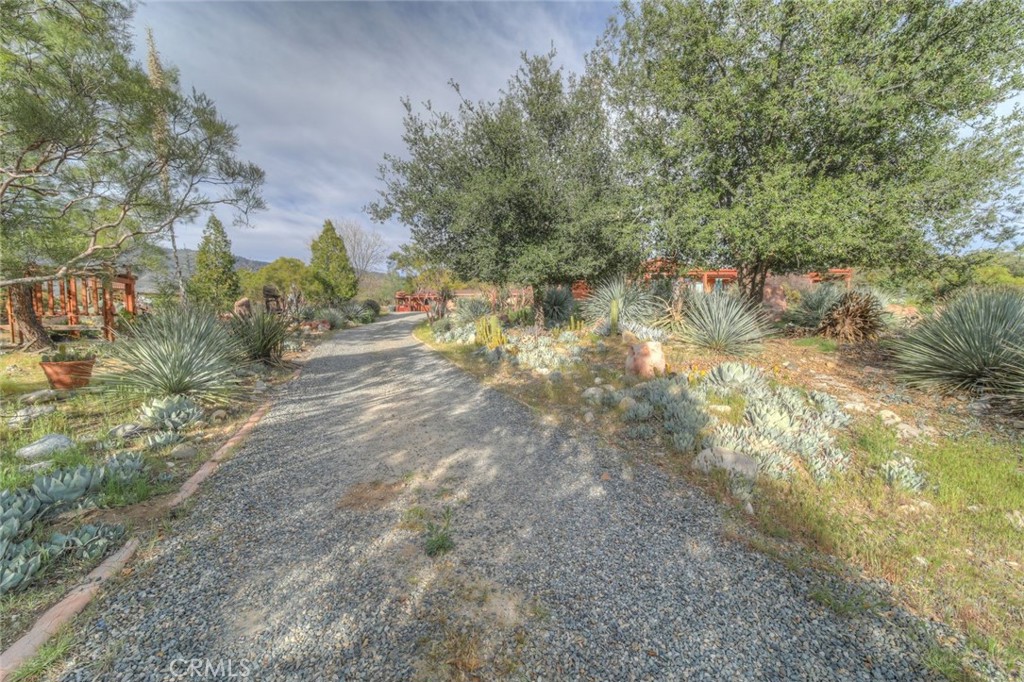 37440 Old Forest Property Photo 64