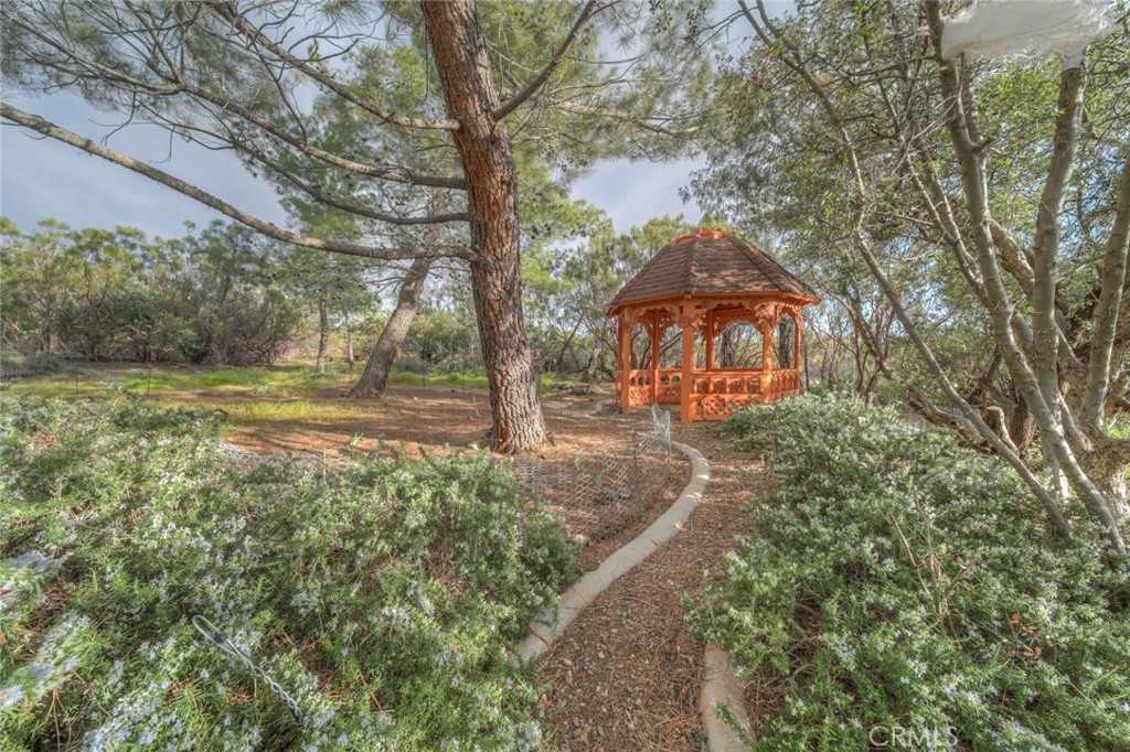 37440 Old Forest Property Photo 65