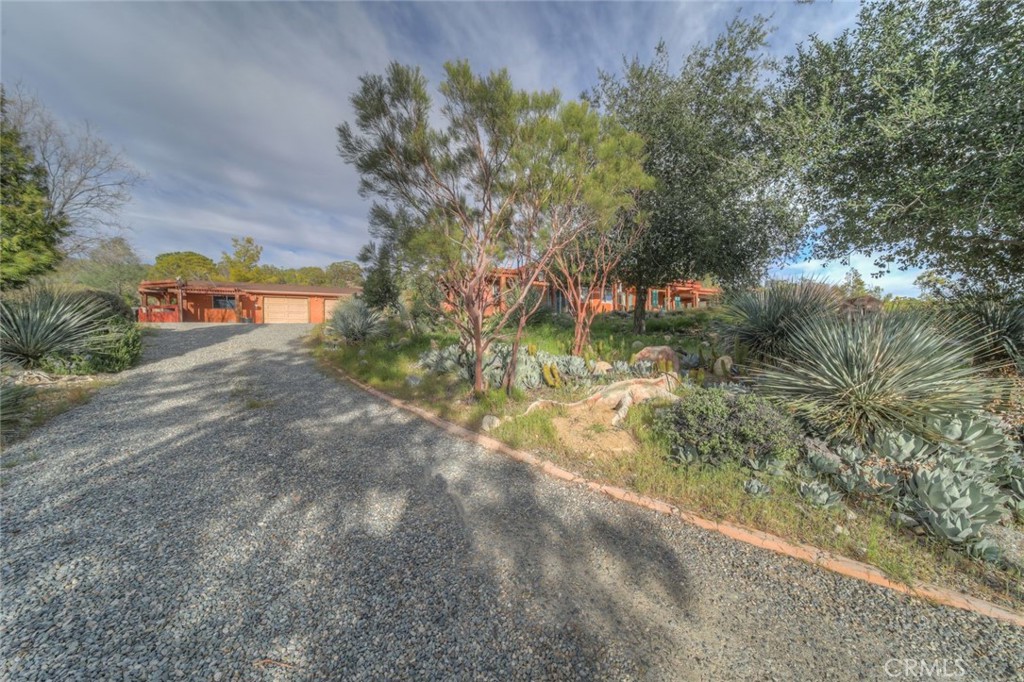 37440 Old Forest Property Photo 66