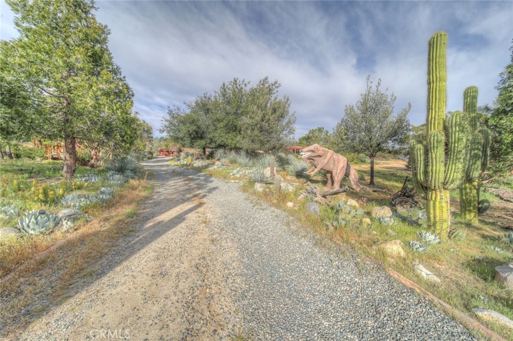 37440 Old Forest Property Photo 67