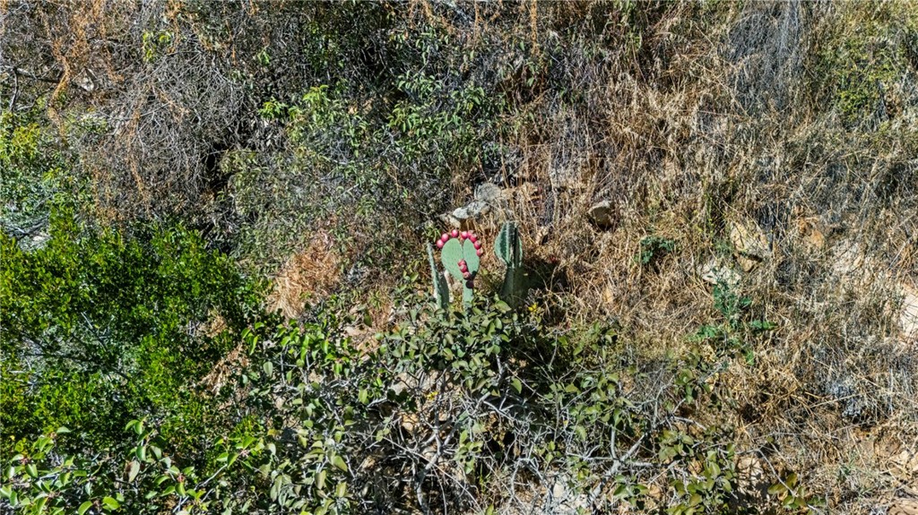 38942 Jubilee Way Property Photo 47
