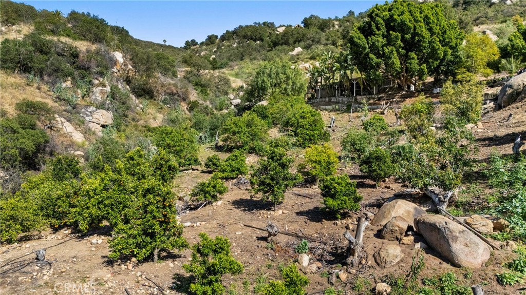 38942 Jubilee Way Property Photo 48