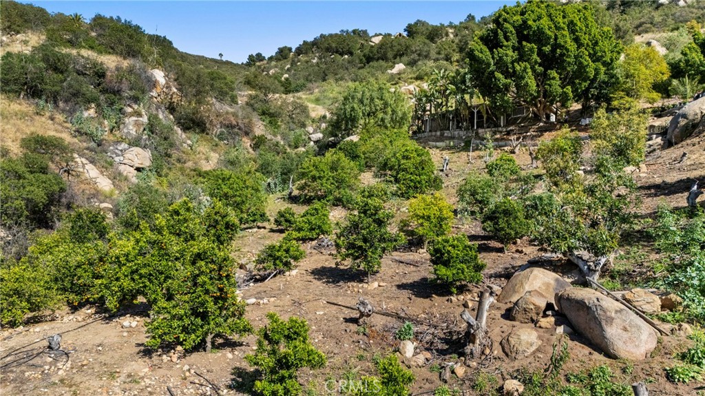 38942 Jubilee Way Property Photo 43