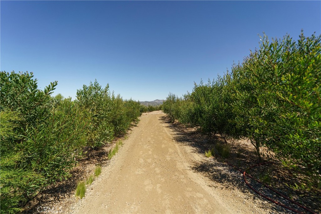 40230 Crazy Horse Canyon Road Property Photo 52