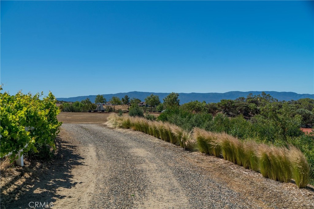 40230 Crazy Horse Canyon Road Property Photo 56