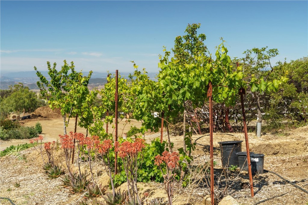 40230 Crazy Horse Canyon Road Property Photo 63