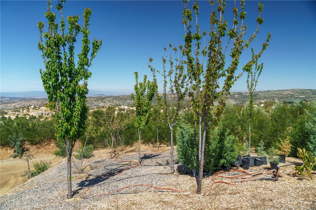 40230 Crazy Horse Canyon Road Property Photo 64