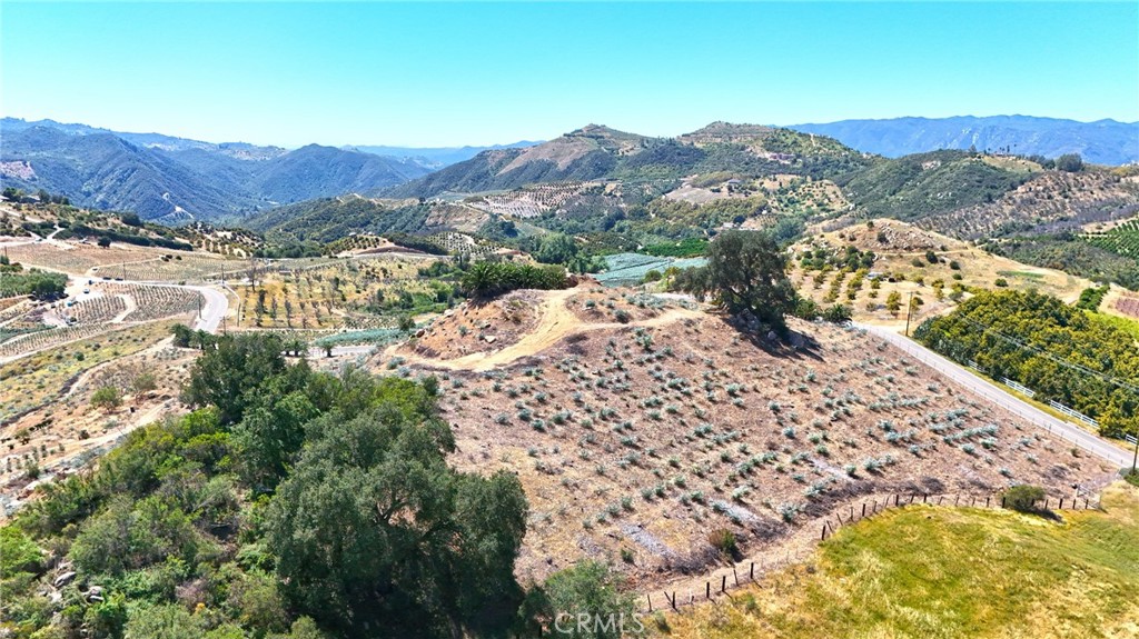 1 El Calamar Property Photo 6